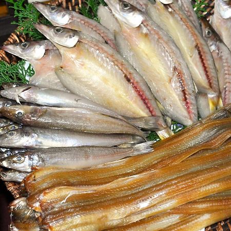 ホテル 魚屋　小桝園 南知多町 エクステリア 写真